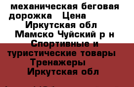 механическая беговая дорожка › Цена ­ 8 000 - Иркутская обл., Мамско-Чуйский р-н Спортивные и туристические товары » Тренажеры   . Иркутская обл.